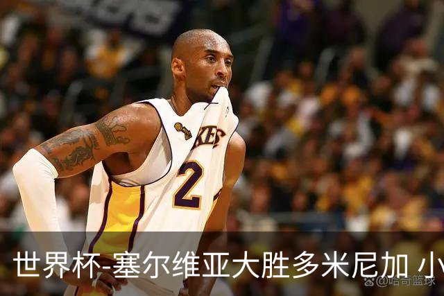 世界杯-塞尔维亚大胜多米尼加 小组第二进八强